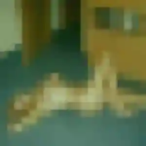 Thais de Saint-Nazaire, 29 ans - plan cul sans lendemain