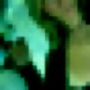 Honorine, 44 ans, en ligne à Saint-Nectaire pour une rencontre coquine