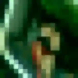 Profil de Dominique à Saint-Nizier-sous-Charlieu (24 ans) - plan cul gratuit