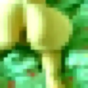 Maeva de Saint-Ouen-de-Thouberville, 37 ans - plan cul sans prise de tête