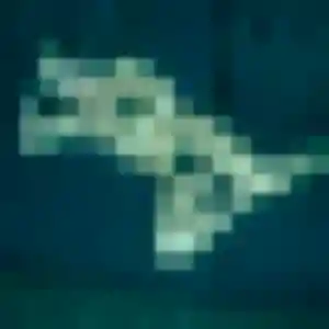 Charmante Jessica, 24 ans à Saint-Ouen-du-Tilleul - la contacter