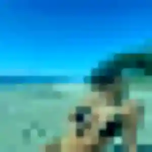 Simone de Saint-Paul-de-Vence, 33 ans - plan cul sans lendemain