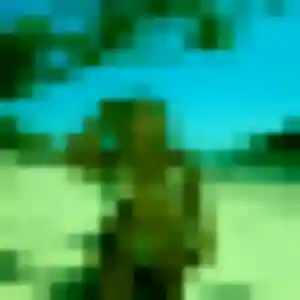 Sarah (36 ans) à Saint-Paul-en-Born cherche un plan cul ce soir