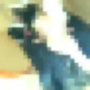 Découvre Lison, 43 ans à Saint-Paul-en-Chablais en t'inscrivant