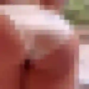 Découvre Ambre, 41 ans à Saint-Paul-les-Fonts gratuitement