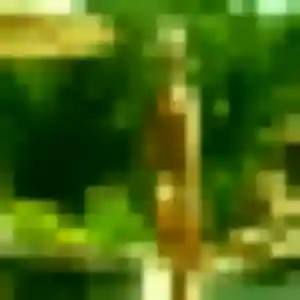 Jeannine, 44 ans, dispo pour plan cul à Saint-Paul-Trois-Châteaux