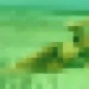 Contacte Aurelie, 22 ans à Saint-Pey-de-Castets en privé