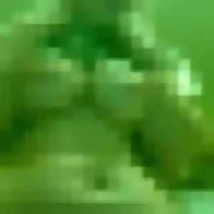 Wendy, 36 ans, connectée à Saint-Pey-de-Castets pour un plan cul