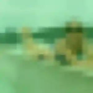 Maelys, femme de 25 ans veut plan cul à Saint-Pierre-de-Bailleul