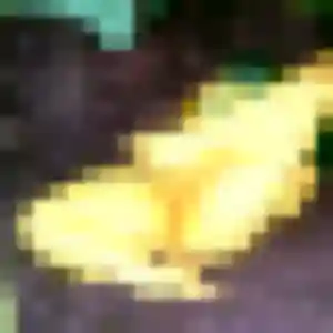 Photo sexy de Denise, 24 ans à Saint-Pierre-de-Cormeilles - rencontre coquine