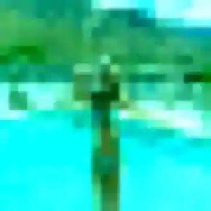 Photo de Charlotte à Saint-Pierre-des-Échaubrognes (28 ans) - plan cul gratuit