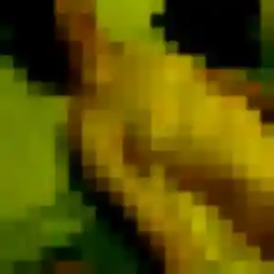 Sexy Maya, 39 ans à Saint-Pierre-des-Fleurs - la contacter