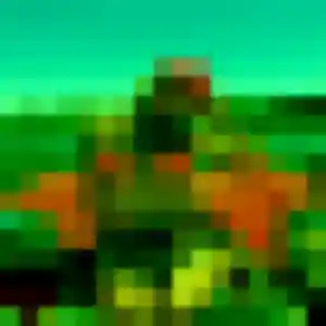 Celeste, 29 ans, connectée à Saint-Pierre-du-Vauvray pour une rencontre coquine