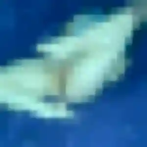 Honorine, femme de 26 ans propose plan cul à Saint-Pourçain-sur-Sioule