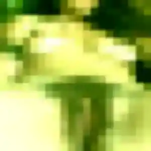 Belle Valerie, 40 ans à Saint-Pryvé-Saint-Mesmin - la contacter