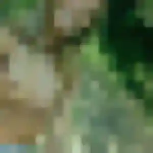 Belle Aurelie, 30 ans à Saint-Quentin-de-Baron - la contacter