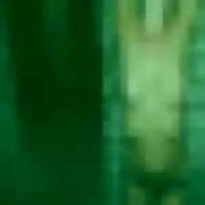 Photo privée de Elsa, 36 ans à Saint-Rabier - plan discret