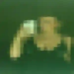 Marie-France, 25 ans, cherche un plan cul à Saint-Rémy-de-Chargnat