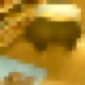 Violette de Saint-Rémy-de-Sillé, 28 ans - plan cul en toute liberté