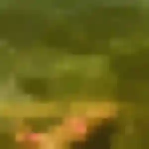 plan cul à Saint-Rémy-de-Sillé : profil de Virginie, 29 ans - accès libre