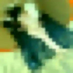 Charmante Christelle, 26 ans à Saint-Rémy-des-Monts - découvrir son profil