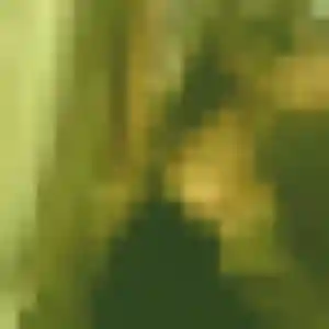 Laure de Saint-Rémy-des-Monts, 43 ans - plan cul en toute liberté