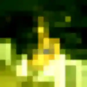 Photo perso de Camille, 29 ans à Saint-Rémy-l'Honoré - plan discret