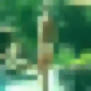 Colombe, 39 ans, veut un plan cul à Saint-Rémy-l'Honoré