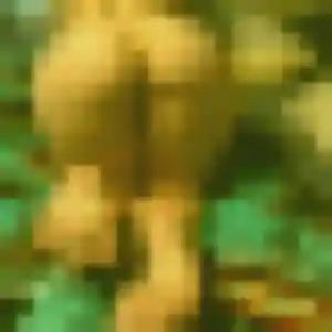 Nour, femme de 27 ans propose plan cul à Saint-Romain-au-Mont-d'Or