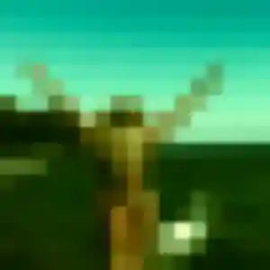 Sandrine, 31 ans, disponible à Saint-Romain-la-Motte pour un plan cul