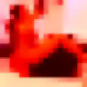 Belle Maiwenn, 40 ans à Saint-Sauveur-des-Landes - découvrir son profil