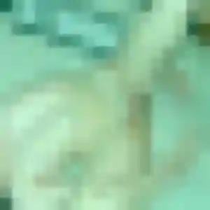 Photo de Isaure à Saint-Sauveur-en-Rue (34 ans) - plan cul anonyme