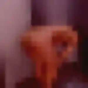 Sexy Julie-Anne, 43 ans à Saint-Sorlin-de-Morestel - voir sa photo