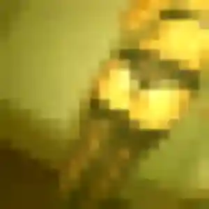 Découvre Sixtine, 38 ans à Saint-Sorlin-de-Vienne en t'inscrivant