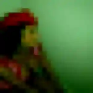 Prisca (32 ans) à Saint-Sorlin-en-Bugey propose une rencontre rapidement