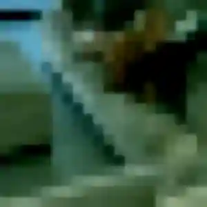 Candice, 29 ans, dispo pour plan cul à Saint-Sulpice-de-Faleyrens