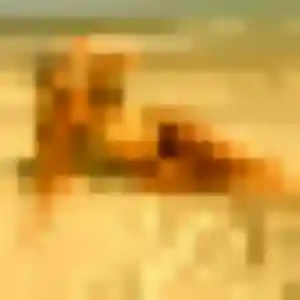 Sasha (38 ans) à Saint-Symphorien attend un plan cul ce soir