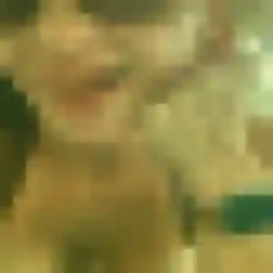 Sexy Xenia, 23 ans à Saint-Symphorien-de-Lay - la contacter