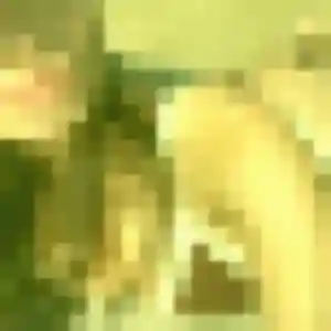 Yvonne, 32 ans, dispo pour plan cul à Saint-Trivier-sur-Moignans