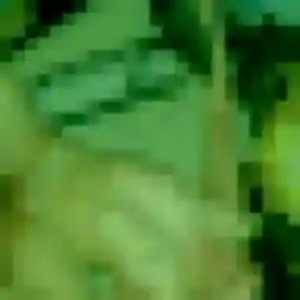 Jolie Candice, 37 ans à Saint-Vaast-d'Équiqueville - voir sa photo