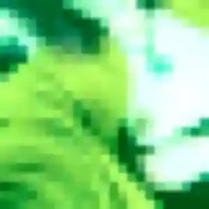 Photo sexy de Zina, 23 ans à Saint-Vincent-de-Mercuze - rencontre sans lendemain