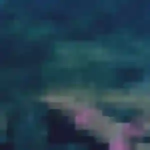 Monique, 32 ans, veut un plan cul à Saint-Vincent-de-Reins