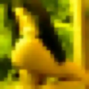 Olivia (43 ans) à Saint-Vincent-de-Reins cherche un plan cul ce soir