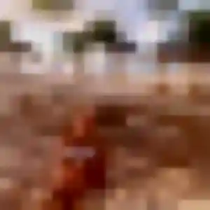 Antoinette, 35 ans, connectée à Saint-Vincent-la-Commanderie pour une rencontre coquine