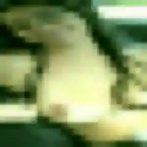 Anne-Sophie (42 ans) à Saint-Yrieix-la-Perche cherche une rencontre rapidement