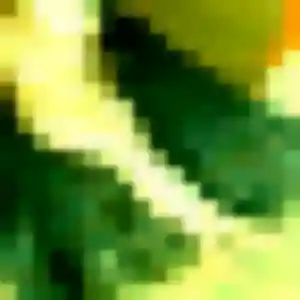 Rejoins Zelie, 29 ans à Saint-Yzan-de-Soudiac en t'inscrivant