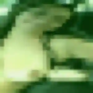 Contacte Lison, 25 ans à Sainte-Anne-sur-Gervonde gratuitement