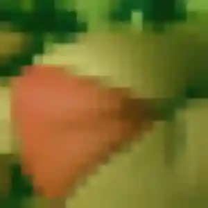 Sexy Eugenie, 31 ans à Sainte-Consorce - voir sa photo