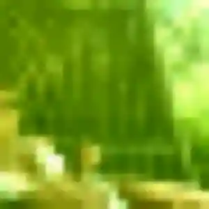 Photo privée de Ségolene, 40 ans à Sainte-Croix-du-Mont - rencontre sans lendemain