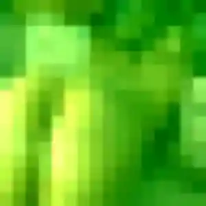 Sexy Honorine, 23 ans à Sainte-Croix-sur-Buchy - découvrir son profil